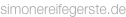 shapeimage_4_link_0